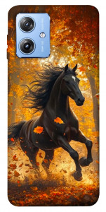 Чехол Autumn Horse для Motorola Moto G84