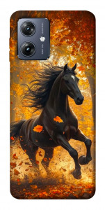Чехол Autumn Horse для Motorola Moto G54