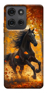 Чехол Autumn Horse для Motorola Moto G75 5G
