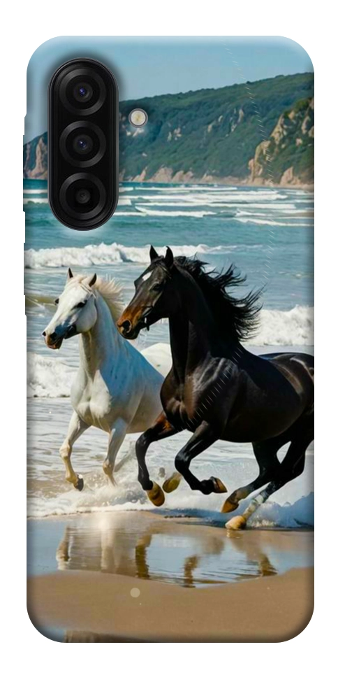 Чехол Beach Horses для Galaxy A17 5G