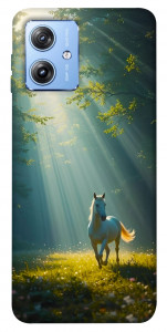 Чехол Horse in nature для Motorola Moto G84