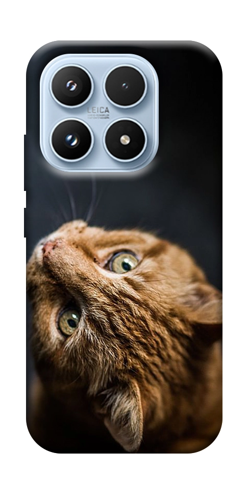Чехол Рыжий кот для Xiaomi 17