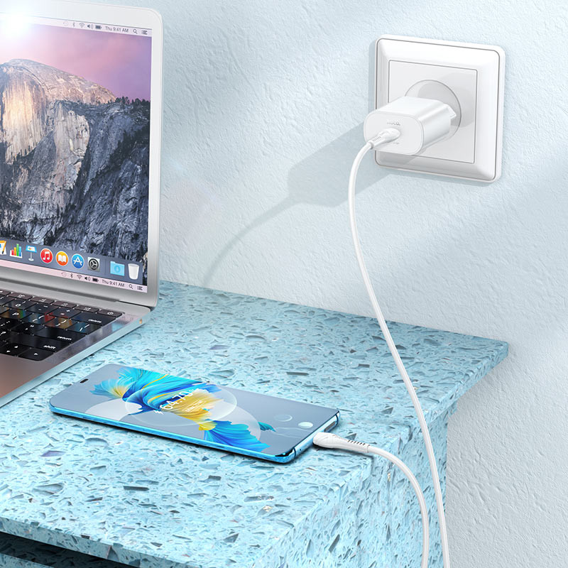 Купити МЗП Hoco N22 Jetta PD25W (1USB-C) + кабель Type-C to Type-C (Білий) на vchehle.ua