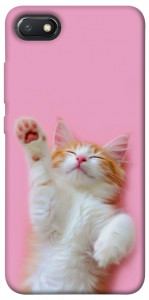 Чехол Сat chill для Xiaomi Redmi 6A