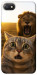 Чехол Shocked cat and lion для Xiaomi Redmi 6A