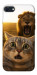 Чехол Shocked cat and lion для iPhone SE (2022)