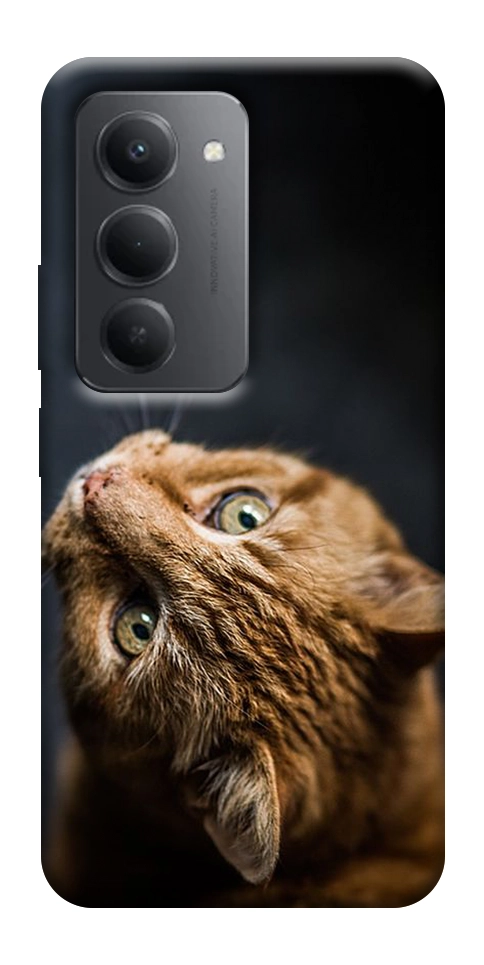 Чехол Рыжий кот для Xiaomi Redmi 15 (Global)