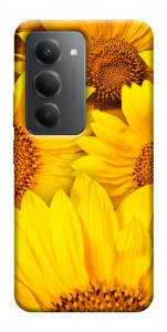 Чехол Букет подсолнухов для Xiaomi Redmi 15 (Global)