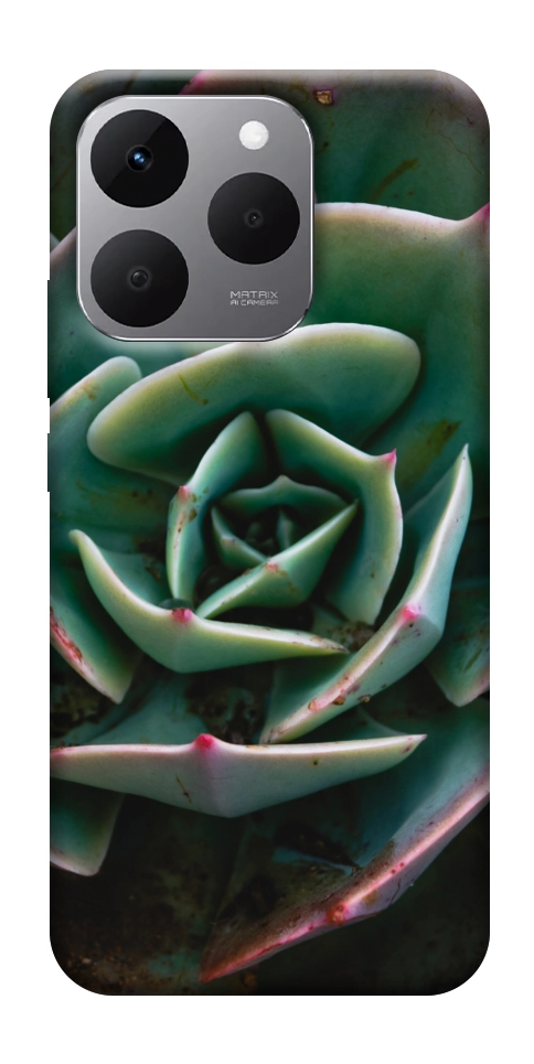 Чехол Эхеверия для Realme 15T