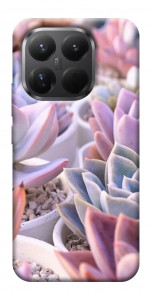 Чехол Эхеверия 2 для Xiaomi 15T Pro