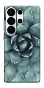 Чехол Суккуленты для Galaxy S26 Ultra