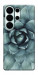 Чохол Сукуленти для Galaxy S26 Ultra