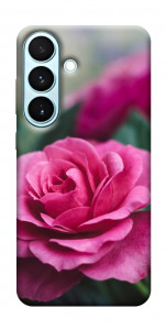 Чехол Роза в саду для Galaxy S26