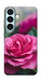 Чохол Троянда у саду для Galaxy S26