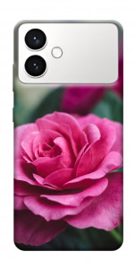 Чохол Троянда у саду для Galaxy S26+
