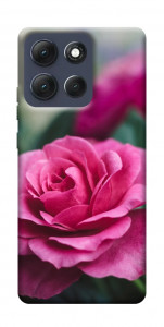 Чехол Роза в саду для Motorola Moto G86 Power