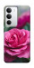 Чехол Роза в саду для Realme C71