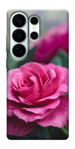 Чехол Роза в саду для Galaxy S26 Ultra