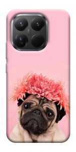 Чехол Мопс с цветами для Xiaomi 15T Pro