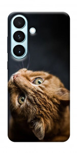 Чехол Рыжий кот для Galaxy S26