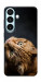 Чехол Рыжий кот для Galaxy S26