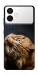 Чехол Рыжий кот для Galaxy S26+
