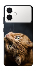 Чохол Рудий кіт для Galaxy S26 Edge