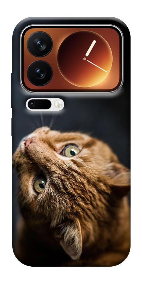 Чехол Рыжий кот для Xiaomi 17 Pro