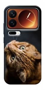 Чехол Рыжий кот для Xiaomi 17 Pro