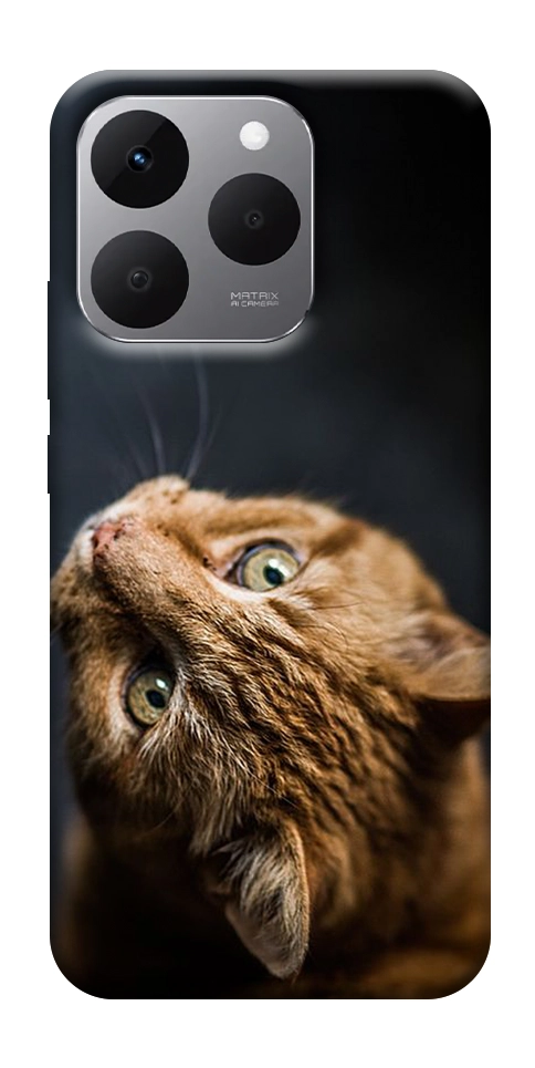 Чехол Рыжий кот для Realme 15T