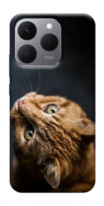 Чохол Рудий кіт для Realme 15T