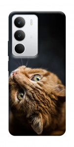 Чехол Рыжий кот для Realme C71