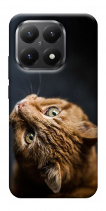 Чохол Рудий кіт для Xiaomi 15T