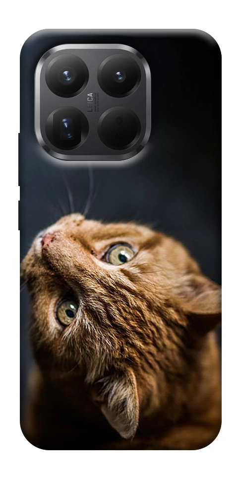Чехол Рыжий кот для Xiaomi 15T Pro