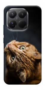 Чехол Рыжий кот для Xiaomi 15T Pro