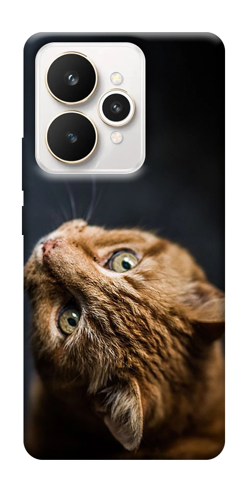 Чехол Рыжий кот для Realme 15