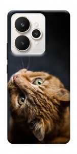 Чехол Рыжий кот для Realme 15