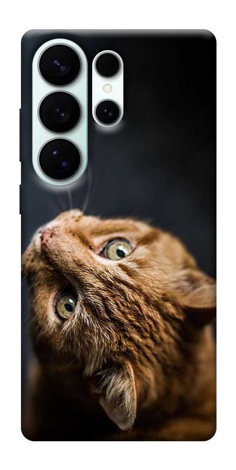 Чехол Рыжий кот для Galaxy S26 Ultra