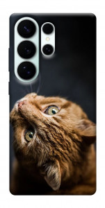 Чехол Рыжий кот для Galaxy S26 Ultra