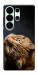 Чехол Рыжий кот для Galaxy S26 Ultra
