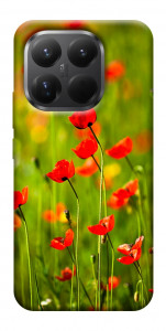 Чехол Маковое поле для Xiaomi 15T Pro
