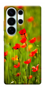 Чохол Макове поле для Galaxy S26 Ultra