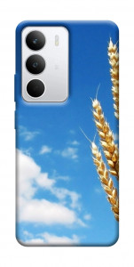 Чехол Пшеница для Realme C71