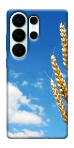 Чохол Пшениця для Galaxy S26 Ultra