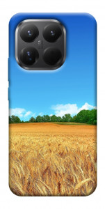 Чехол Пшеничное поле для Xiaomi 15T Pro
