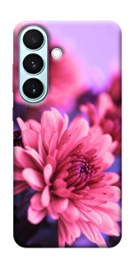 Чехол Нежная хризантема для Galaxy S26