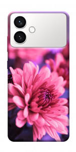 Чохол Ніжна хризантема для Galaxy S26 Edge