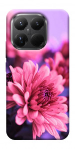 Чехол Нежная хризантема для Xiaomi 15T Pro