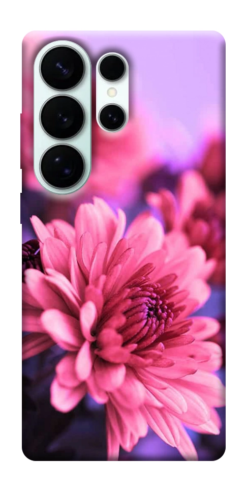 Чехол Нежная хризантема для Galaxy S26 Ultra