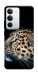 Чехол Leopard для Realme C71